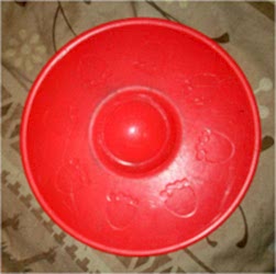 дог фризби фрисби dog frisbee