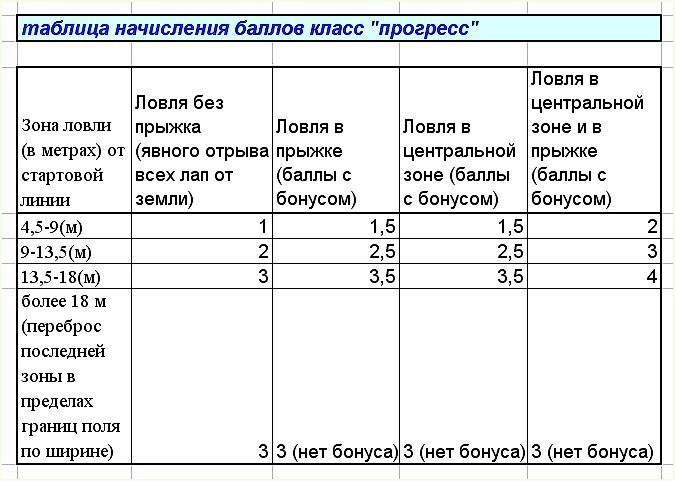 дог фризби фрисби dog frisbee