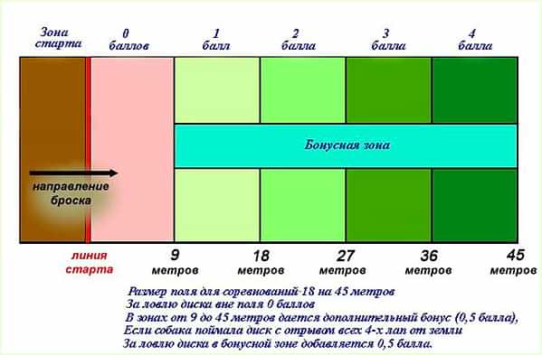 дог фризби фрисби dog frisbee