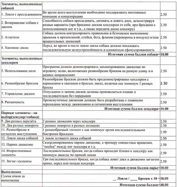 дог фризби фрисби dog frisbee