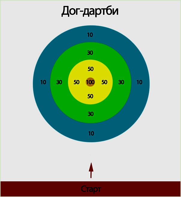 дог фризби фрисби dog frisbee